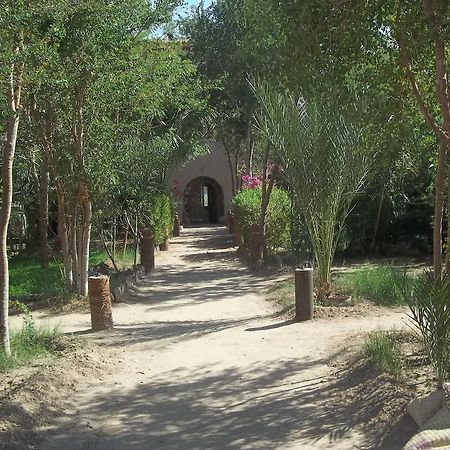 Nour El Balad Hotel Luxor Luaran gambar