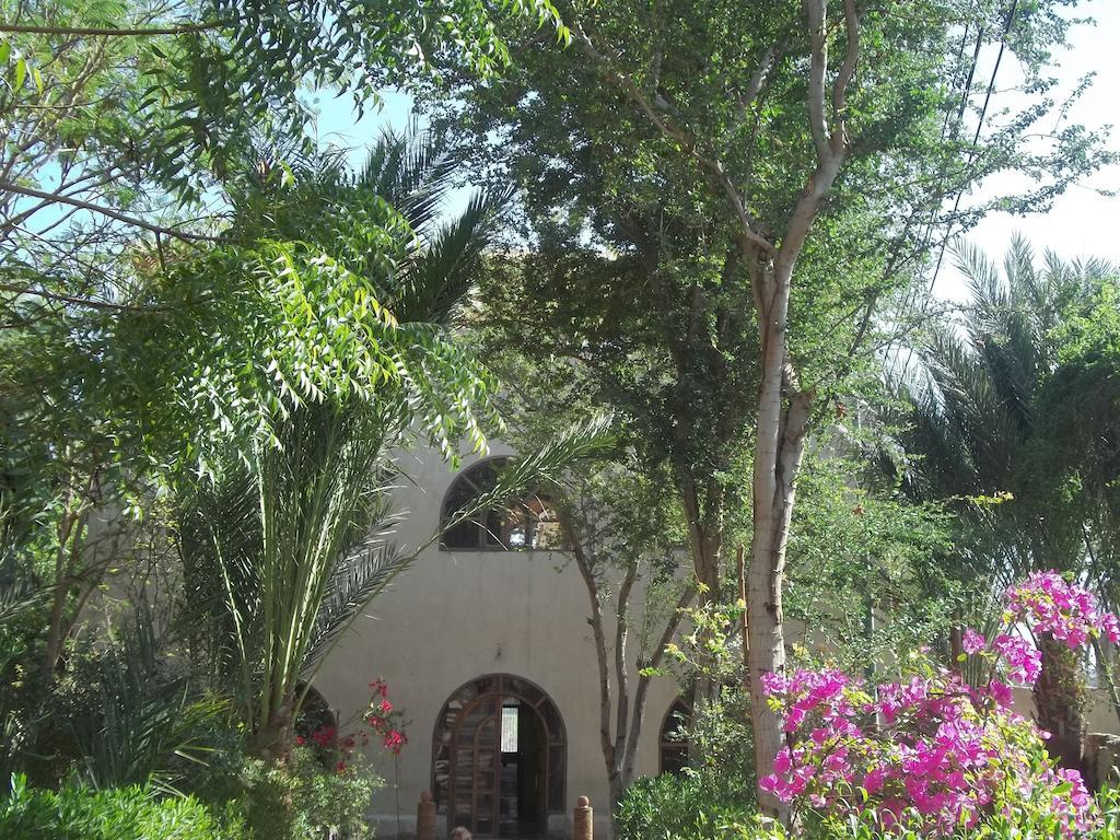 Nour El Balad Hotel Luxor Luaran gambar