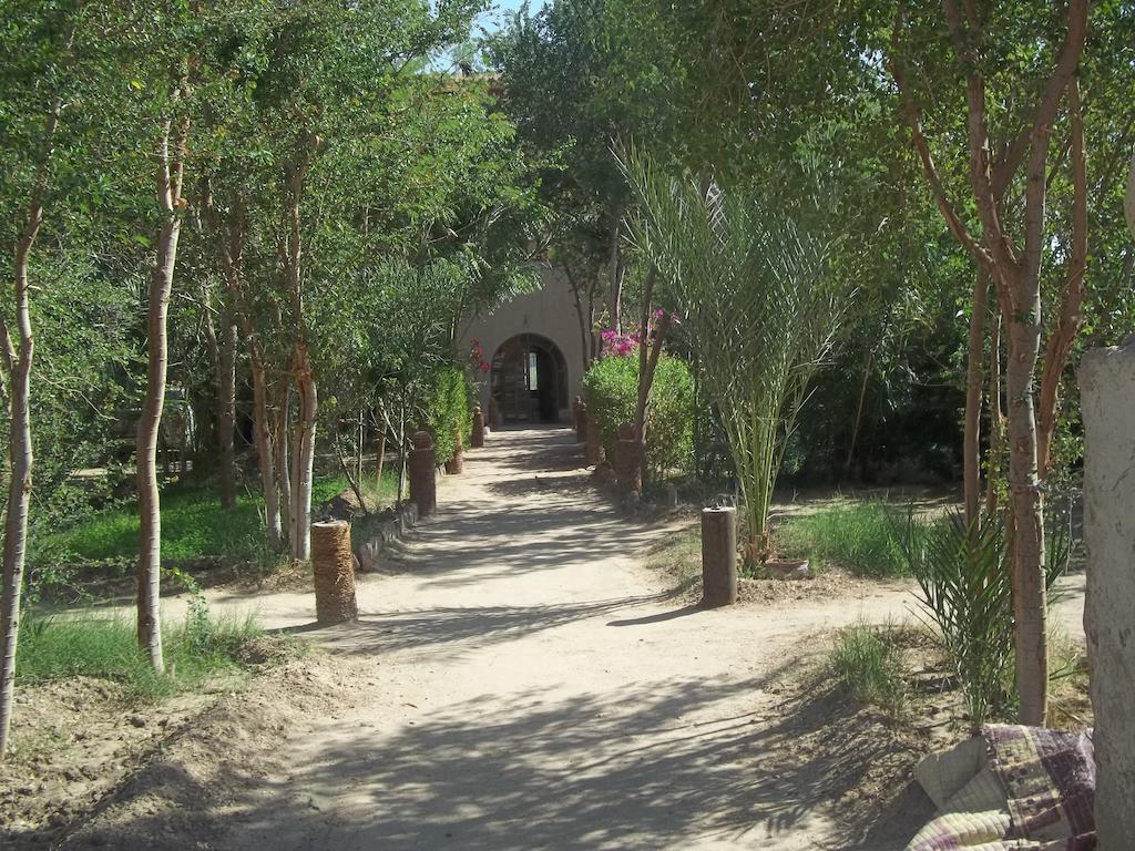 Nour El Balad Hotel Luxor Luaran gambar